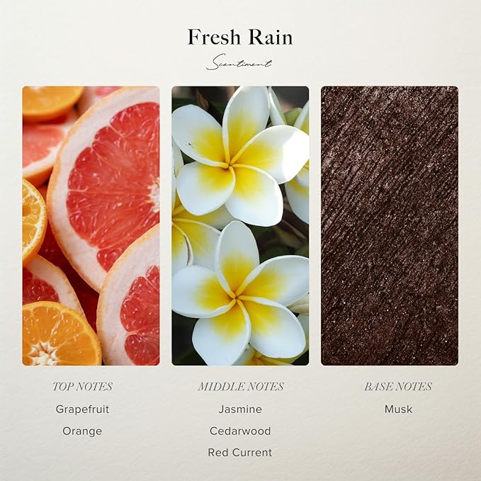 Scentiment Diffuser Oil - Fresh Rain | Aromatherapy Home Fragrance | Inspired by Luxury Five Star Hotels | Luxurious Scent with Notes of Fresh Grapefruit and Crisp Red Currant, (500mL)