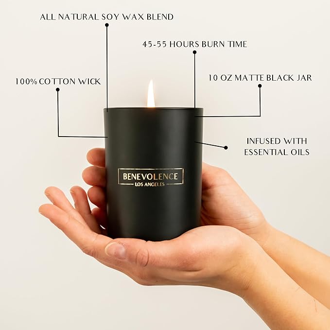 Benevolence LA Black Berries (Baies) Scented Candle | Soy Christmas Candles, Black Candle for Home | Holiday Candles Gifts for Women and Men | Home Fragrance | Aromatherapy | Bathroom Freshener | 10oz
