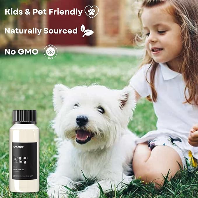 Scentia Hotel Diffuser Oil Inspired by Ferrari - 120 ml 4.06 fl oz - Fragrance Oil Blend White Tea, Cedarwood & Soku Lime for Aromatherapy Diffusers and Humidifiers - London Calling, Thanksgiving Gift