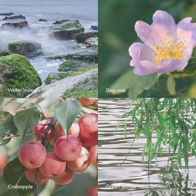Skandinavisk ØY ‘Island’ Hand Cream, Scent Notes: Crabapple and Dog Rose, Water Mosses and Green Leaves. Vegan Forumla, 2.54 fl. oz.