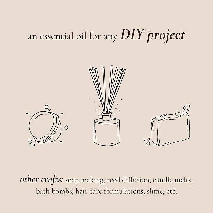 P&J Fragrance Oil Holiday Set | Mistletoe, Candy Cane, Wintermint, Apple Cider, Cranberry, and Forest Pine Candle Scents for Candle Making, Freshie, Soap Making Supplies, Diffuser Oil Scents