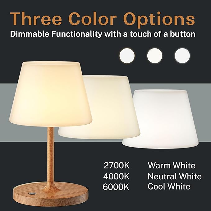 Cordless Lamp, 5000mAh Battery Operated Rechargeable Table Lamp with Power Bank, Touch Dimmable 3 Color Temperatures, IP44 Waterproof Shower Lamp for Kitchen, Bathroom, Indoor Or Outdoor Use 9.6in