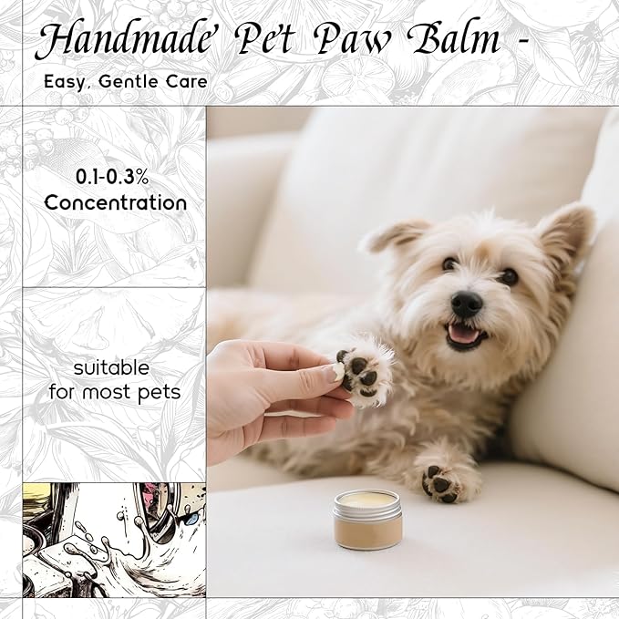 HIQILI Blanc Amour Fragrance Oil - for Candle, Soap & Perfume Making, Inspired by Byrdo Bl.nche, Floral Scent, Add to Body Oil, for Essential Oil Diffuser - 5.07 Fl Oz