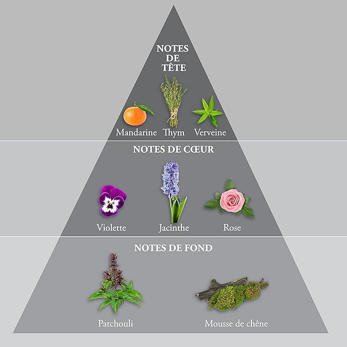 EVAFLORPARIS WHISKY SILVER Eau de Toilette for Men – Magnetic and Unique Scent with Verbena, Violet and Marine Notes – For the Unforgettable Man – Made in France 3.4 Fl Oz