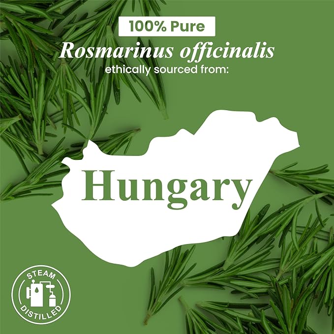 Handcraft Blends Rosemary Essential Oil – Huge 4 Fl Oz – 100% Pure and Natural – Premium Grade Essential Oil for Diffuser and Aromatherapy, Skin, Massage, Candle and Soap Making Fragrance