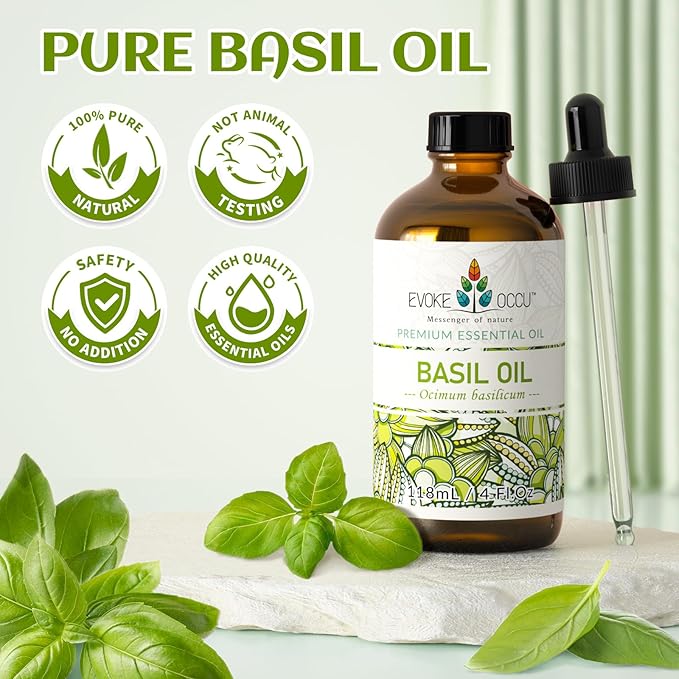 EVOKE OCCU Basil Essential Oil for Skin Massage Diffuser and Candle Making- 4 Fl Oz