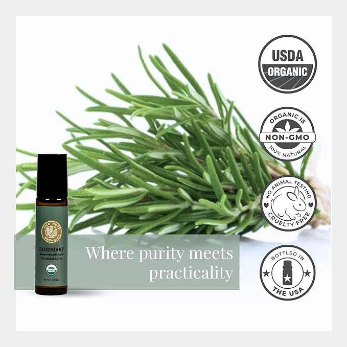 Silk Road Organic Rosemary Essential Oil & Jojoba Roll On, USDA Certified, Support Hair Growth & Health - 10 ml Aromatherapy Roller