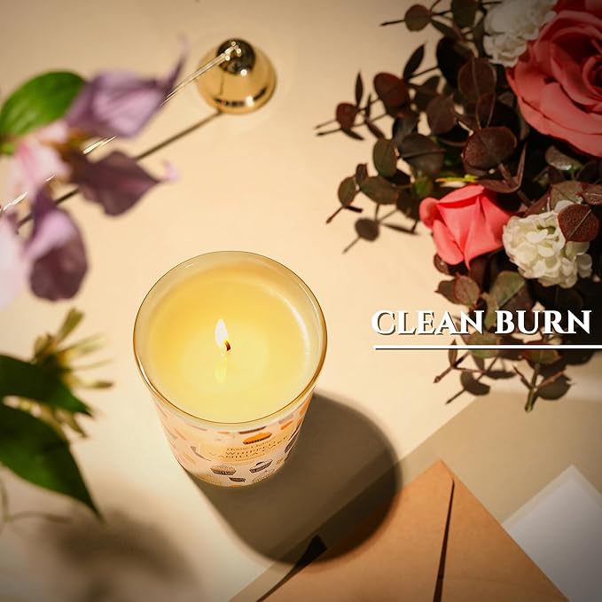 HomeLights Scented Candles for Women & Men, 6.7oz Candle Jars Aromatherapy Single Wick Candle, Ideal for Rustic Modern Home Decor and Gifts, Whipped Vanilla Cake