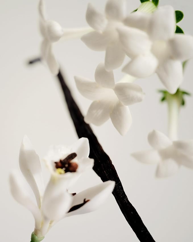 Maison Louis Marie - No.03 L'Etang Noir Natural Roll-On Perfume Oil | Luxury Clean Beauty + Non-Toxic Fragrance (0.5 fl oz | 15 ml)