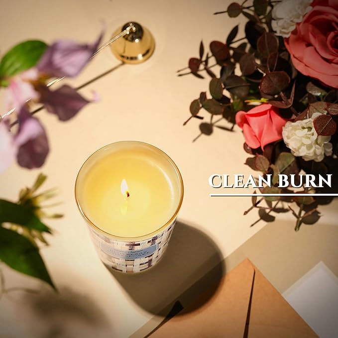 HomeLights Scented Candles for Women & Men, 6.7oz Candle Jars Aromatherapy Single Wick Candle, Ideal for Rustic Modern Home Decor and Gifts, Blueberry Cheesecake