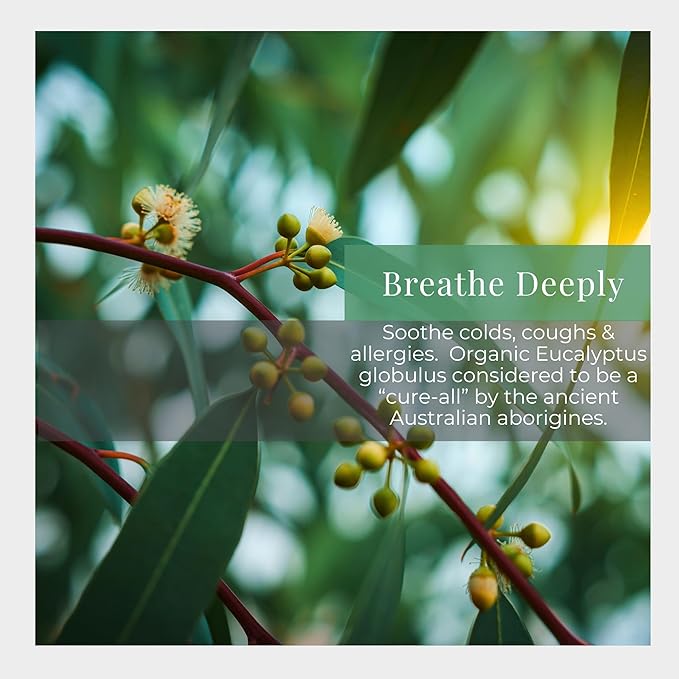 Silk Road Organic Eucalyptus Essential Oil Roll On, USDA Certified - Respiratory Health, Colds, Cough, Sinus & Allergy Congestion - 10 ml Aromatherapy Roller - Always Pure, Always Organic