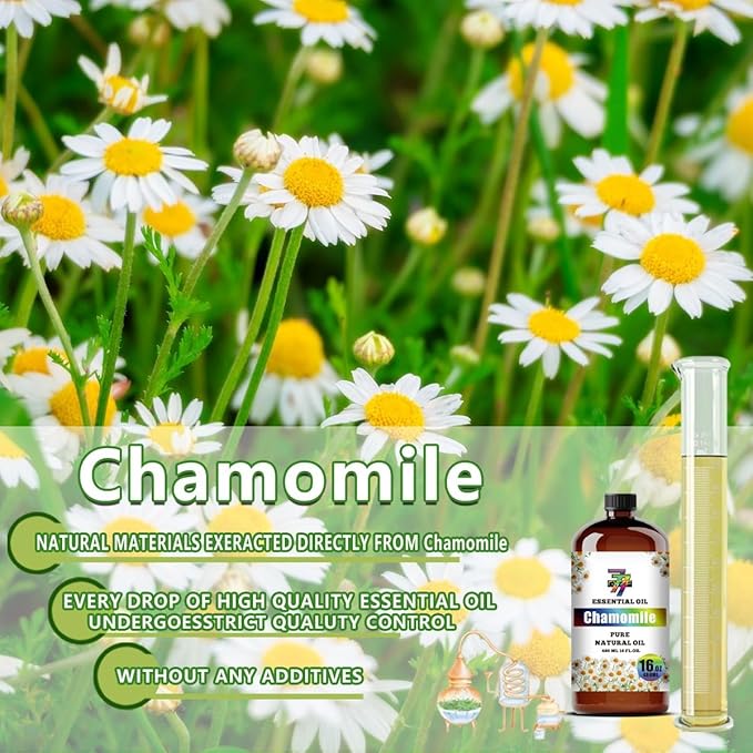 Chamomile Essential Oil (16 oz / 480 ml) – Chamomile Oils for diffusers, humidifiers, Home Baths, Cleaning Products, Yoga, DIY Soaps and DIY Scented Candles
