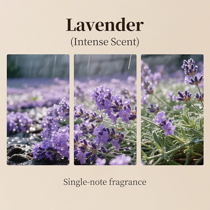 Lavender Essential Oils Aroma Waterless Diffuser Refill - Natural Relaxing Scent for Bedrooms & Hotel,Spa Atmosphere-100ml(3.4 fl.oz)