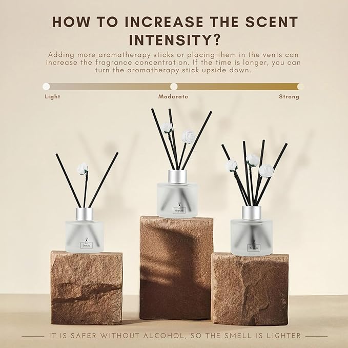 Brakula 2 Pack Reed Diffuser Set, Eucalyptus & Wild Mint Scented, Home Fragrance with 14 Sticks Bathroom Decor, Reed diffusers for Home 6.76 fl oz (Eucalyptus & Wild Mint)