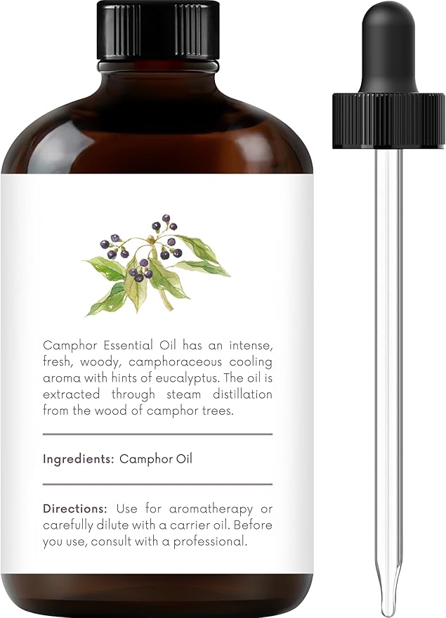 Handcraft Blends Camphor Essential Oil – Huge 4 Fl Oz – 100% Pure and Natural – Premium Grade Essential Oil for Diffuser and Aromatherapy, Skin, Massage, Candle and Soap Making Fragrance
