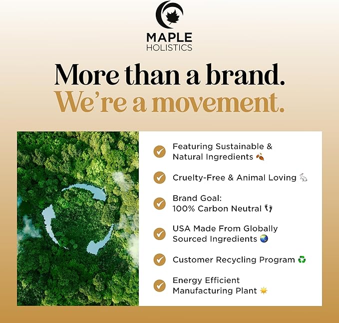 Focus Essential Oil Blend for Diffusers - Aromatherapy Essential Oils Blend for Home and Travel Energy Focus and Attention Support with Grapefruit Bergamot Peppermint and Eucalyptus (2 Fl Oz)