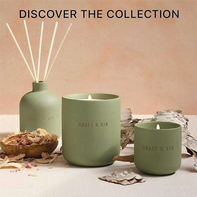 Craft & Kin Christmas Reed Diffuser for Home & Bathroom – White Birch & Cedar Holiday Reed Diffuser Set with Fragrance Sticks, Long-Lasting Alcohol-Free Winter Scent, Earthenware Collection, 6.7oz