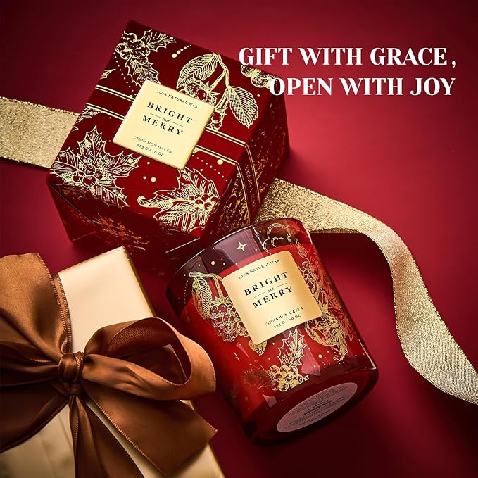 M&SENSE Holiday Scented Candle Gift for Women and Men - Cinnamon Scent, 10 oz Soy Wax, Birthday,Holiday,Christmas,New Year Gift
