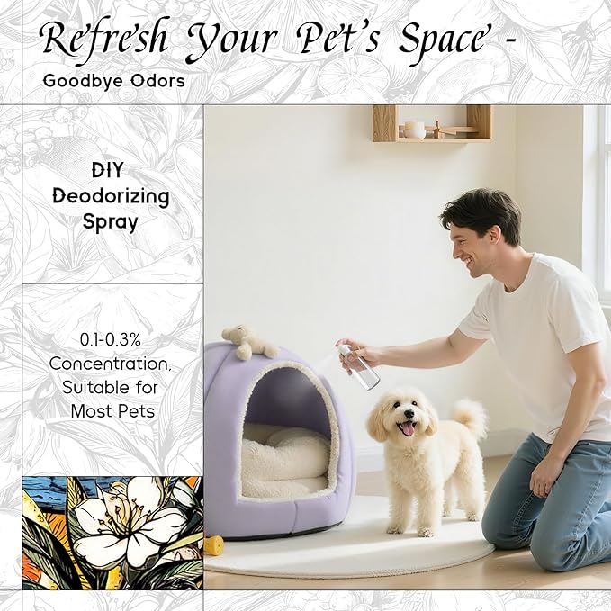 HIQILI Fortunate Wish Fragrance Oil for Diffusers & Candle Making, Inspired by A.na Su Luck-Wish, Skin Safe Scented Oil for Soap, Laundry, Vegan, Long Lasting - 1 Fl Oz