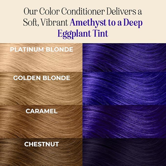 INH Semi Permanent Hair Color | Color Depositing Conditioner | Amethyst Dark Purple Hair Dye | No Bleach No Peroxide Temporary Tint for Women, Men | Vegan, Ammonia Free, Sulfate Free, Ready to Use 6oz