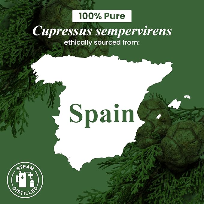 Handcraft Blends Cypress Essential Oil – 1 Fl Oz – 100% Pure and Natural – Premium Grade Essential Oil for Diffuser and Aromatherapy, Skin, Massage, Candle and Soap Making Fragrance