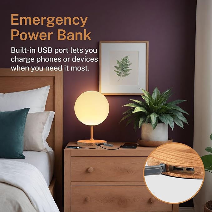 Cordless Lamp, 5000mAh Battery Operated Rechargeable Table Lamp with Power Bank, Touch Dimmable 3 Color Temperatures, IP44 Waterproof Shower Lamp for Kitchen, Bathroom, Indoor Or Outdoor Use 9.6in