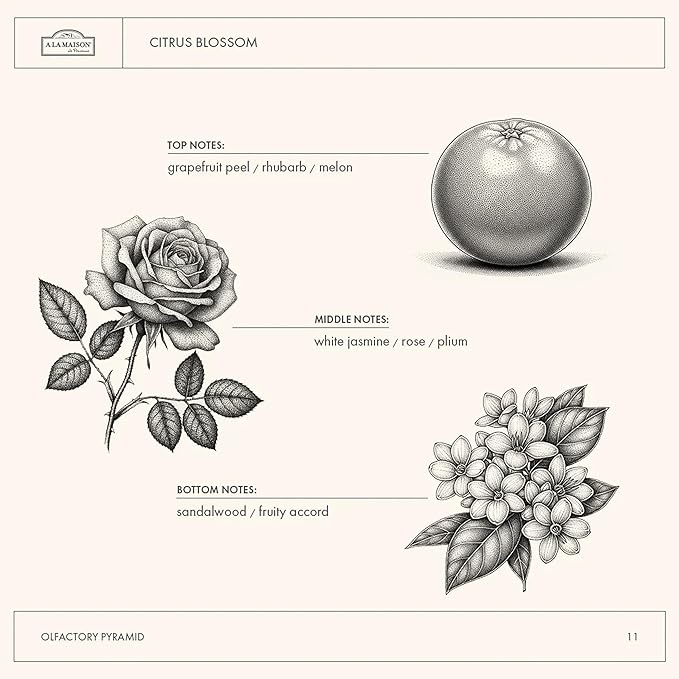 A LA MAISON Body Wash, Citrus Blossom, 25.36 Fluid Ounce