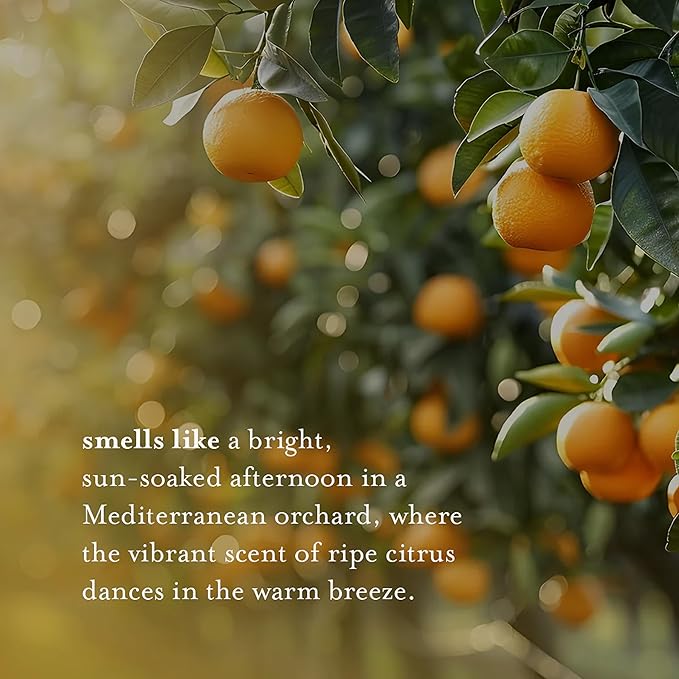 A LA MAISON Body Wash, Citrus Blossom, 25.36 Fluid Ounce