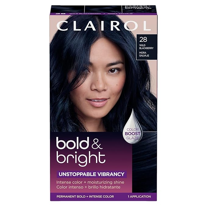 Clairol Bold & Bright Permanent Hair Dye, 28 Wild Blackberry Hair Color, Pack of 1
