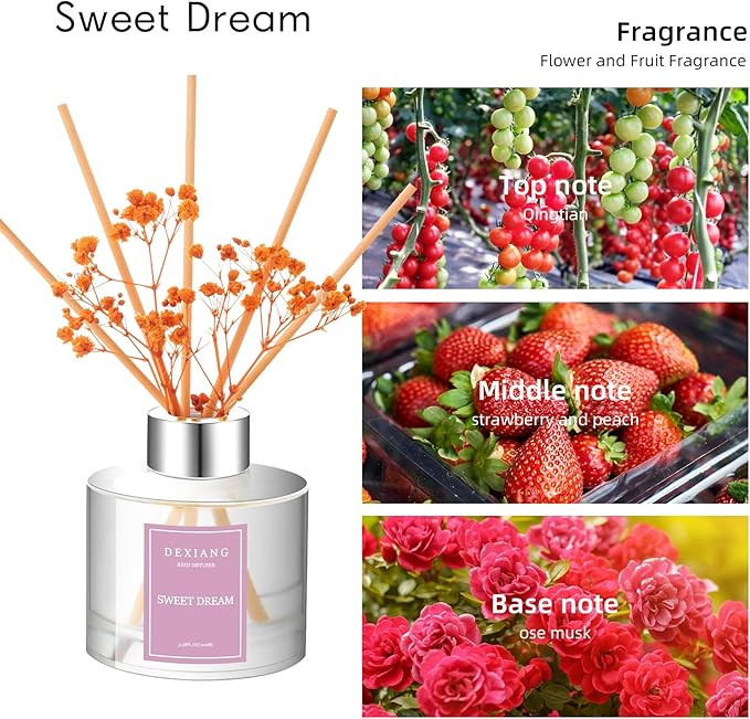 Reed Diffuser Set - 3.38 fl oz Sweet Dream Premium Scented Oil with Preserved Baby's Breath & Cotton 6 Sticks | Long-Lasting Aromatherapy for Home, Bedroom, Bathroom, Office Home Decor