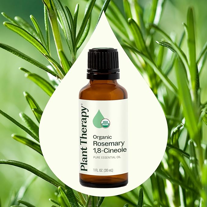 Plant Therapy Organic Rosemary Essential Oil 100% Pure, USDA Certified Organic, Undiluted, Natural Aromatherapy, Therapeutic Grade 30 mL (1 oz)