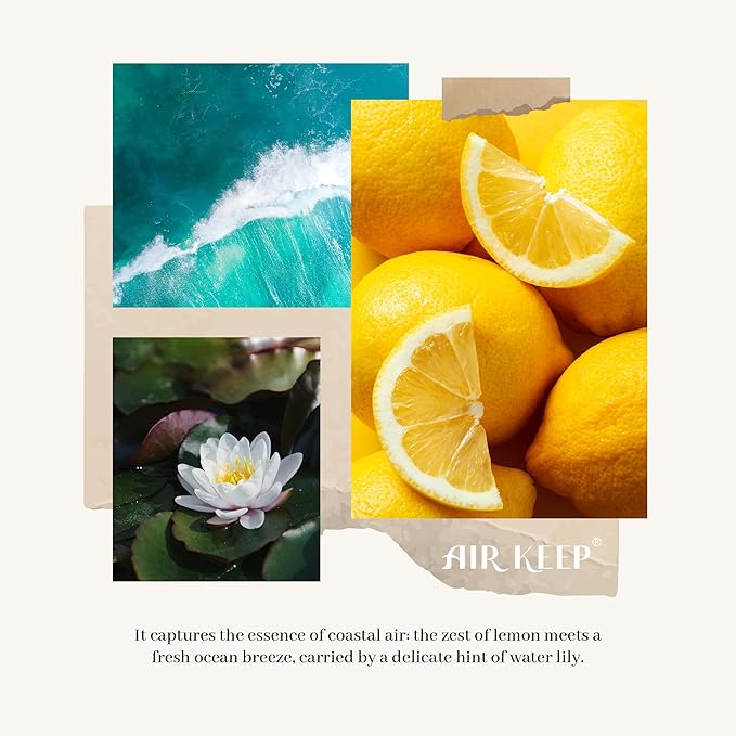 Airkeep Reed Diffuser Set,3.38 fl oz (100 ml) - Ocean Breeze Oil Diffusers with 8 Reed Sticks, Home Fragrance Reed Diffuser for Bathroom Shelf Decor