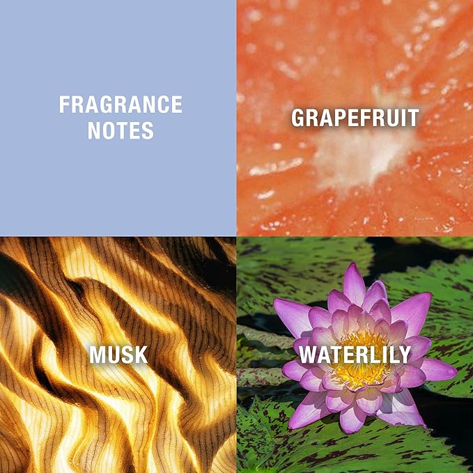 Curve Women's Perfume, Eau de Toilette EDT Spray, Gift for Her, 3.4 fl oz