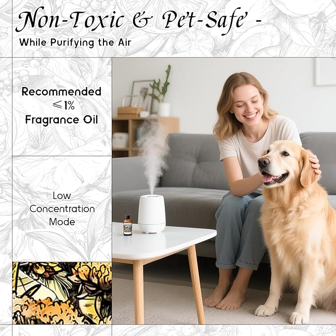 HIQILI Helichrysum Fragrance Oil from Natural Extracts, Essential Oil for Diffuser, Candle Making, DIY Helichrysum Balm - 1 Fl Oz