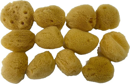 Soft Natural 12 Silk Sponges 1.5" Cosmetic Makeup Application Removal Face Eye Nail Cleaning Like Cotton Balls Awesome Aquatic Creating The Perfect Bath & Shower (12 Pack 1.5" Silk)