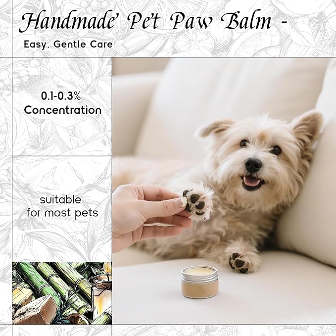 HIQILI Bamboo Fragrance Oil for Scent Diffuser, Idea for Candle & Soap Making, DIY Room Air Fresheners, New Car Scent - 5.07 Fl Oz