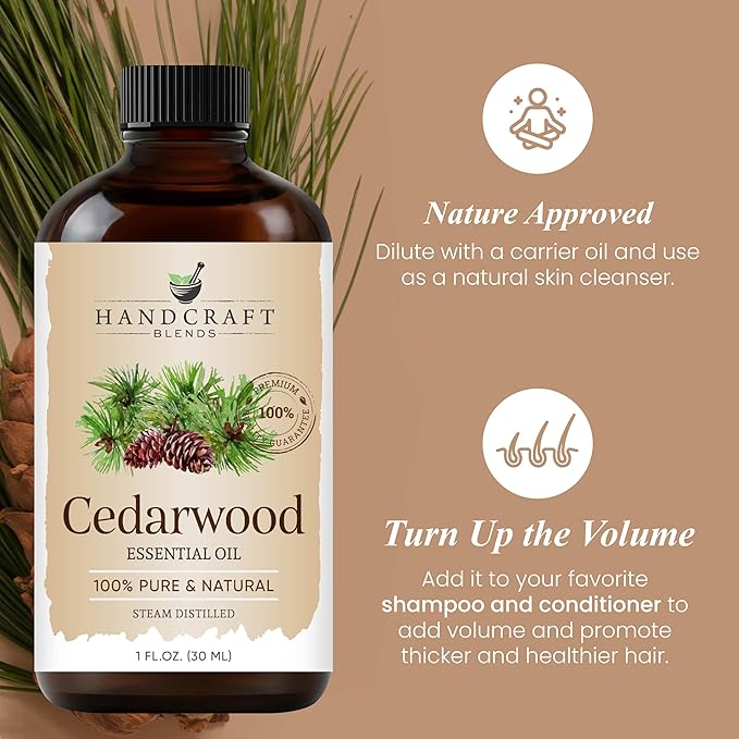 Handcraft Blends Cedarwood Essential Oil – 1 Fl Oz – 100% Pure and Natural – Premium Grade Essential Oil for Diffuser and Aromatherapy, Skin, Massage, Candle and Soap Making Fragrance