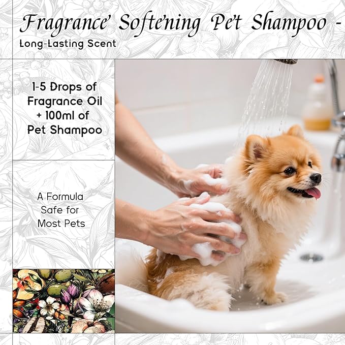 HIQILI Fantasy Girl Fragrance Oil for Candle, Perfume Making, Praline & Pomelo Scents, Long Lasting, Skin & Hair Care Products, Gifts - 1 Fl Oz