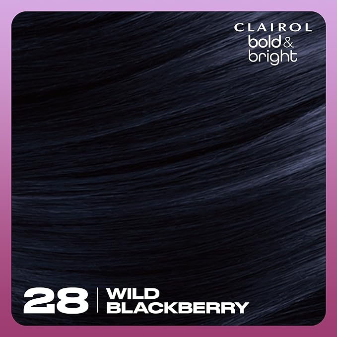 Clairol Bold & Bright Permanent Hair Dye, 28 Wild Blackberry Hair Color, Pack of 1