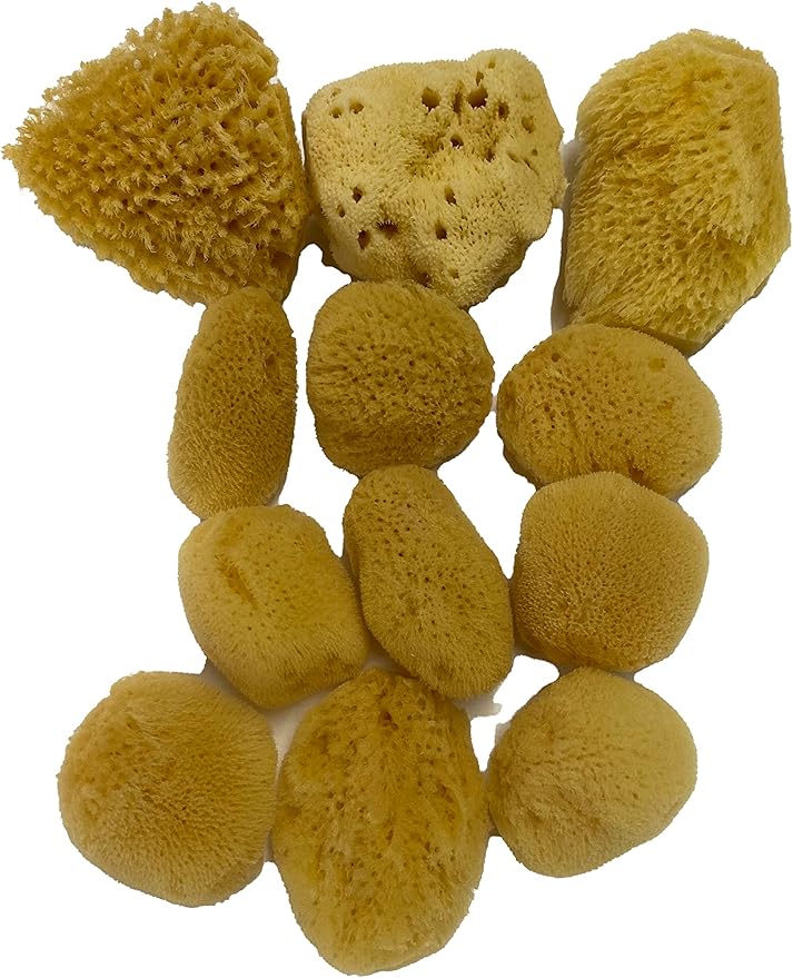 Soft Natural 12 Silk Sponges 1.5"-3" Cosmetic Makeup Application Removal Face Eye Nail Cleaning Like Cotton Balls Awesome Aquatic Creating The Perfect Bath & Shower (12 Pack 1.5"-3" Silk)