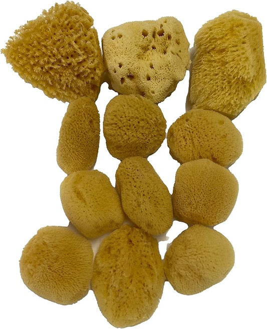Soft Natural 12 Silk Sponges 1.5"-3" Cosmetic Makeup Application Removal Face Eye Nail Cleaning Like Cotton Balls Awesome Aquatic Creating The Perfect Bath & Shower (12 Pack 1.5"-3" Silk)