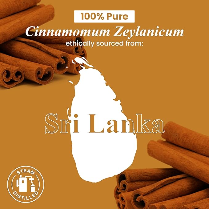 Handcraft Blends Cinnamon Essential Oil – 1 Fl Oz – 100% Pure and Natural – Premium Grade Essential Oil for Diffuser and Aromatherapy, Skin, Massage, Candle and Soap Making Fragrance