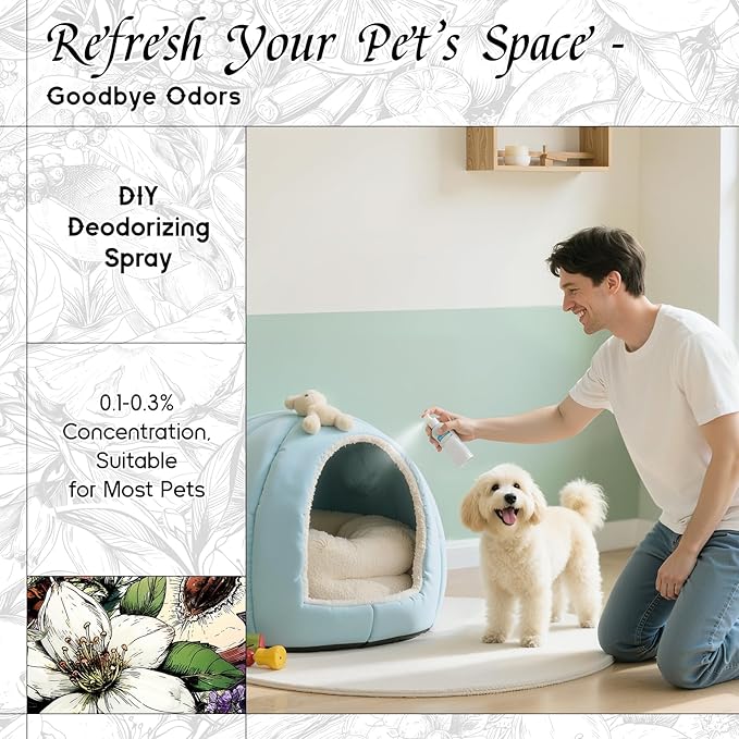 HIQILI Dragon Tea Nebula Fragrance Oil for DIY, Hotel Scents for Essential Oil Diffuser, A Clean Yulong Tea Aroma - 1 Fl Oz