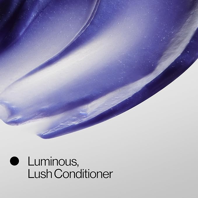 Eva NYC Purple Conditioner for Toning Blonde Hair - Anti-Brass Formula for Blonde, Gray + Lightened Hair - Adds Shine, Softens + Deep Conditions for Salon Fresh Results - Ginger Rose Scent - 10 fl oz