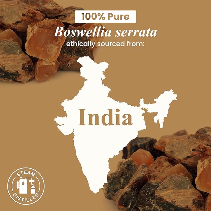 Handcraft Blends Frankincense Essential Oil – 1 Fl Oz – 100% Pure and Natural – Premium Grade Essential Oil for Diffuser and Aromatherapy, Skin, Massage, Candle and Soap Making Fragrance