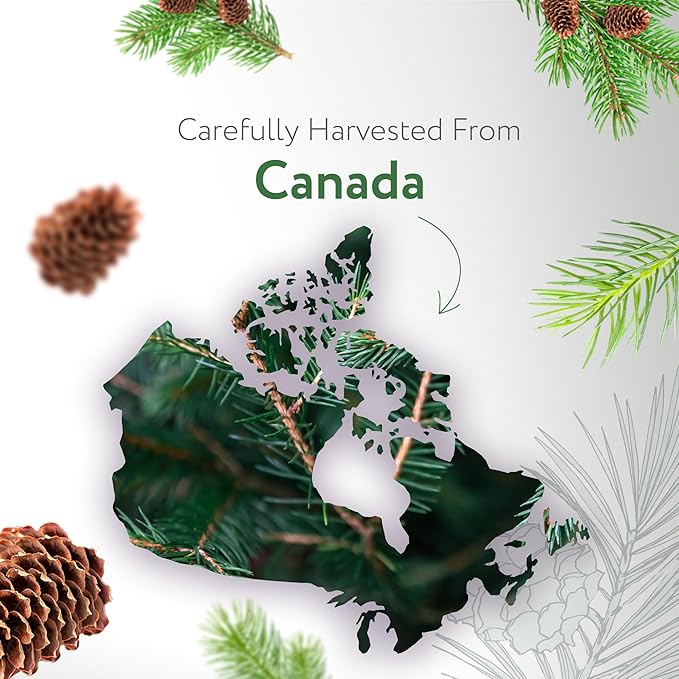 HBNO Organic Fir Balsam Essential Oil - Huge 4 oz (120ml) Value Size - USDA Certified Organic Fir Balsam Oil, Perfect for Aromatherapy, Soap Making, DIY, Fragrances, Diffuser