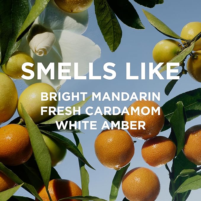 By Rosie Jane Roll On Perfume Oil (Remi) - Clean, Travel Perfume for Women - Enriched with Notes of Mandarin, Cardamom & White Amber - Vegan, Paraben, Sulfate & Phthalate Free (7 ml)