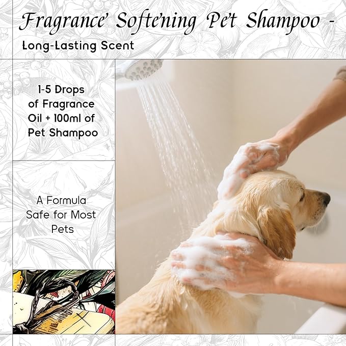 HIQILI Cologne Ocean Fragrance Oil, Sweet Orange & Ocean Scents, for Making Candle, Bath Bombs, Long-Lasting Scents for Home Diffuser - 1 Fl Oz