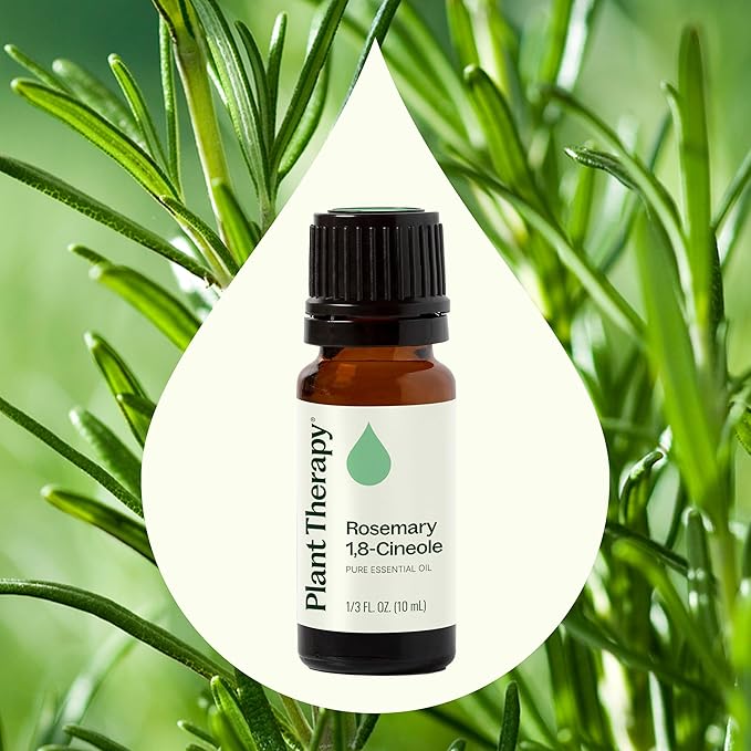 Plant Therapy Rosemary Essential Oil for Hair Growth, 100% Pure, Undiluted, Natural Aromatherapy for Diffuser & Rosemary Oil for Hair & Scalp, Therapeutic Grade 10 mL (1/3 oz)