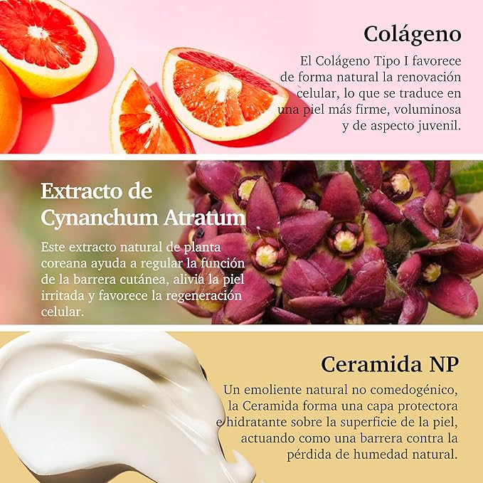 Purifect Collagen Serum for Face - Anti Aging, Firming & Plumping with Vitamin E & Ceramide NP – Made in USA | 7 Collagen Types, Face Tightening and Lifting for brighter, more radiant skin 30 ml